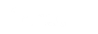 Organization 4
